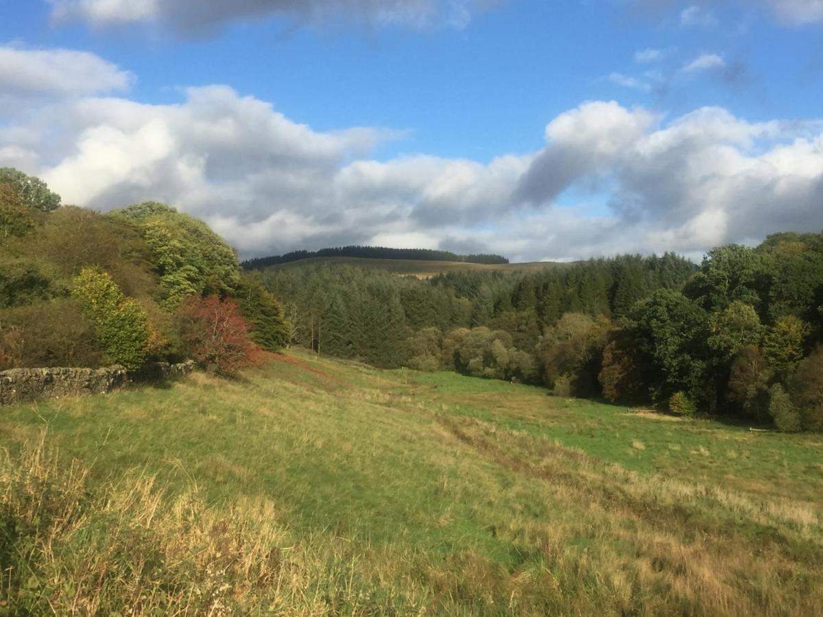Willow Cottage, Gilchristland Organic Farm Closeburn エクステリア 写真