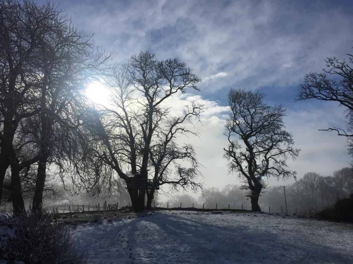 Willow Cottage, Gilchristland Organic Farm Closeburn エクステリア 写真
